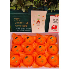 (산지직송) 레드향 [선물용] 서귀포 남원 하우스