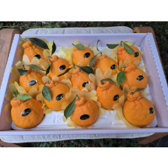 (산지직송) 한라봉 [선물용] 서귀포 남원 하우스