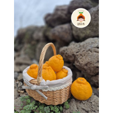 (산지직송) 한라봉 